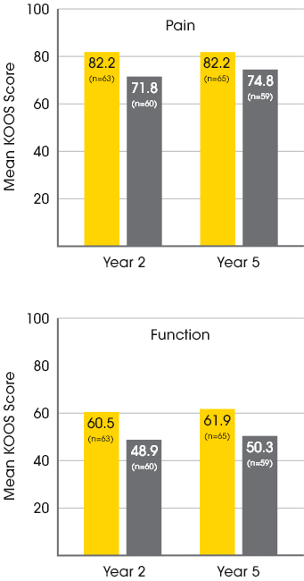 Chart of >Mean patient-reported KOOS scores at year 2 and year 5