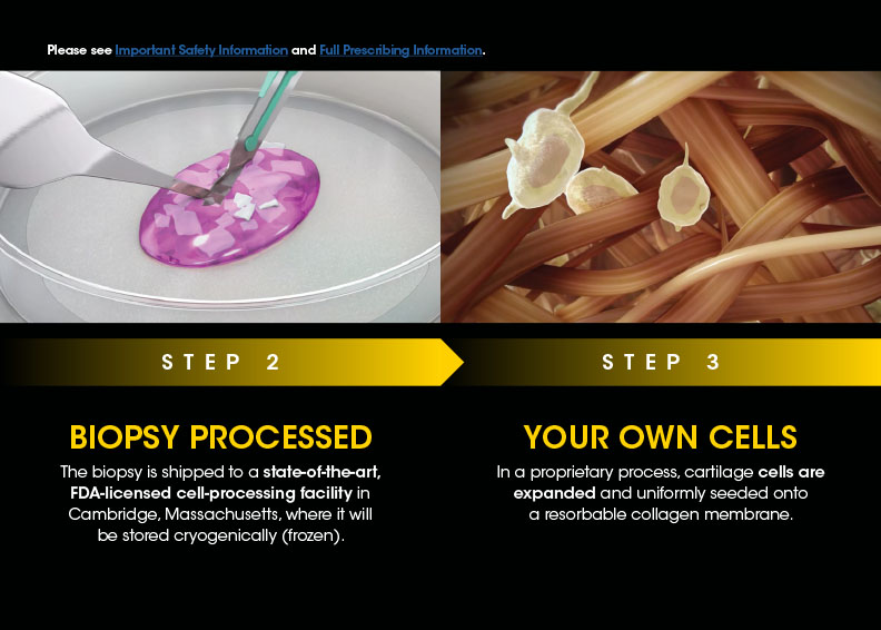 Step 2 & 3: Biopsy Processed & Cells Expanded